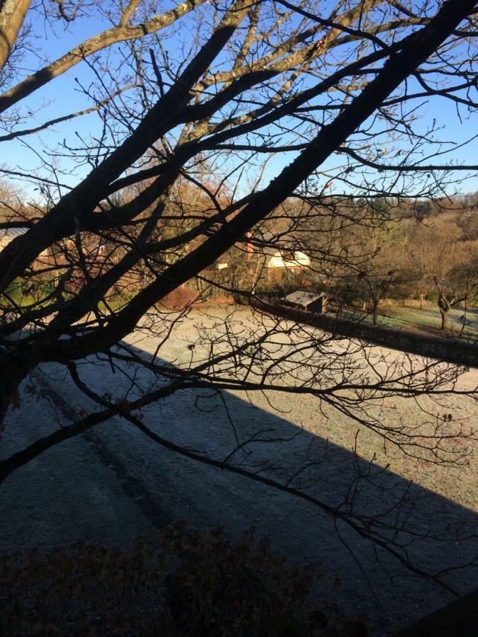 Le Jardin Des Sources Bed and Breakfast Terhulpen Buitenkant foto