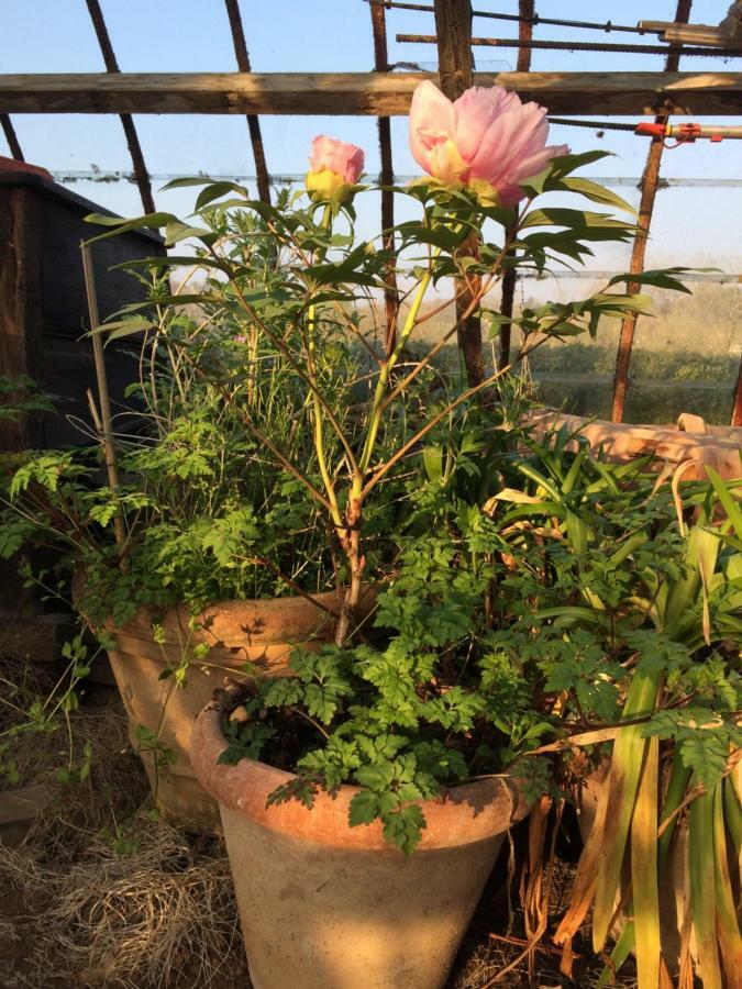 Le Jardin Des Sources Bed and Breakfast Terhulpen Buitenkant foto