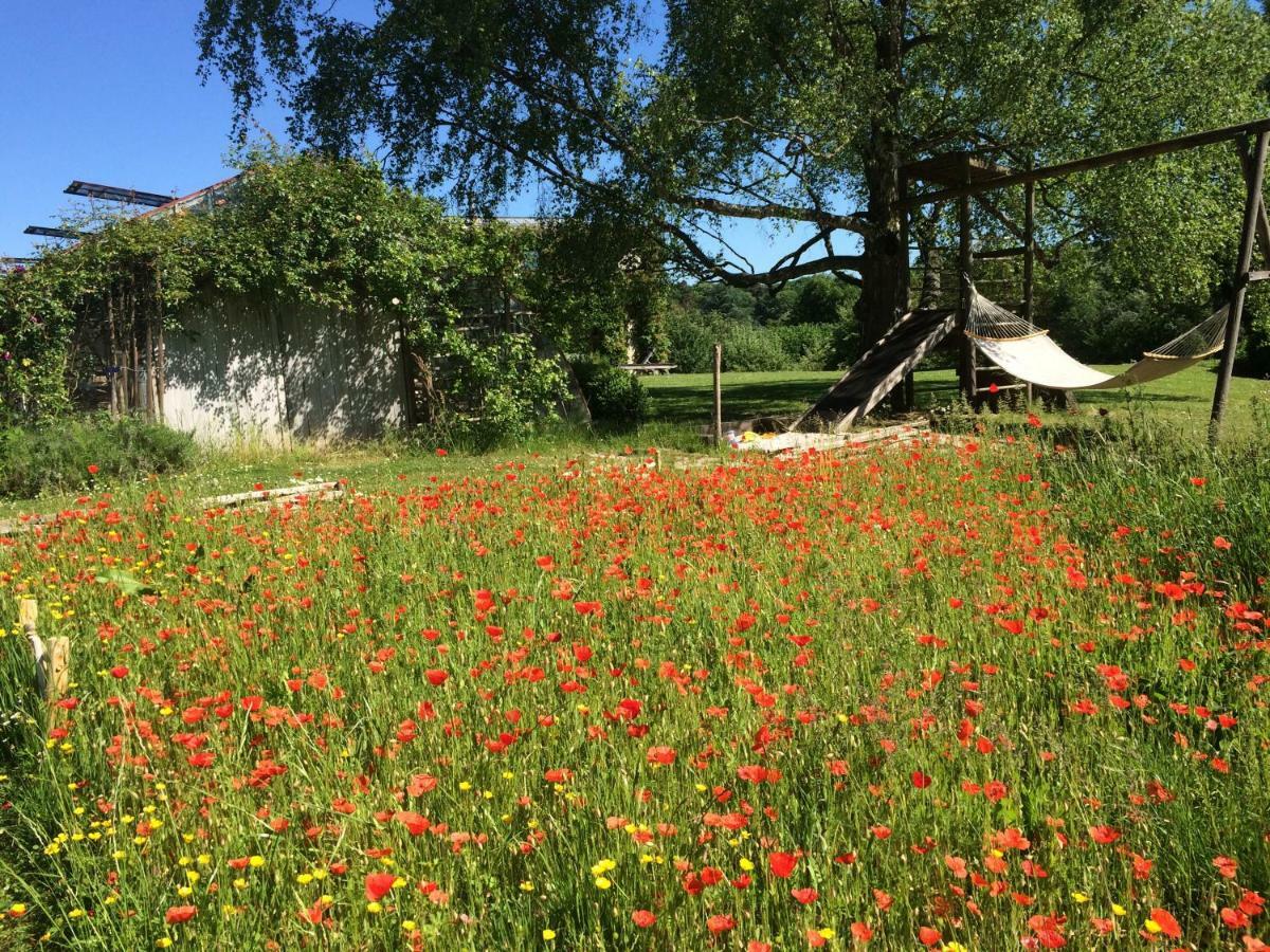 Le Jardin Des Sources Bed and Breakfast Terhulpen Buitenkant foto