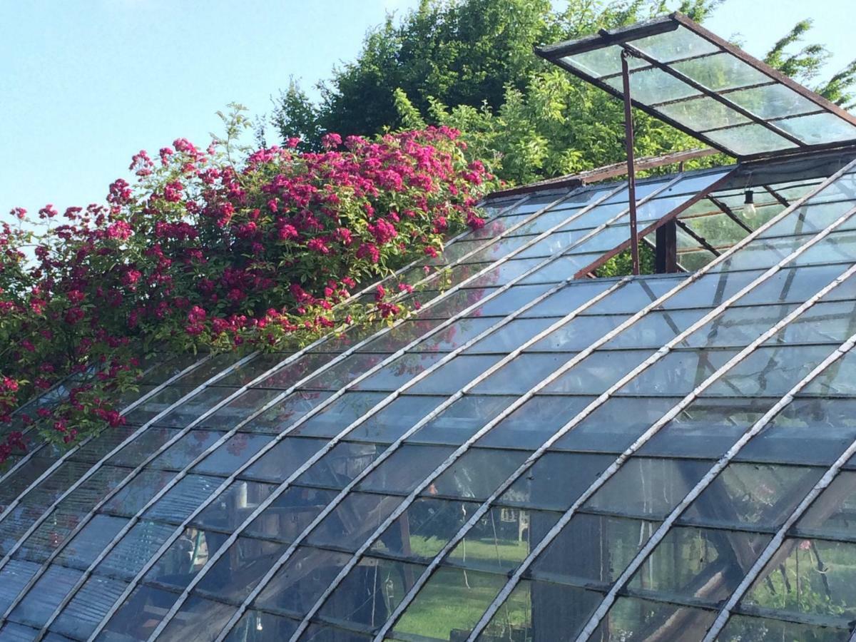 Le Jardin Des Sources Bed and Breakfast Terhulpen Buitenkant foto