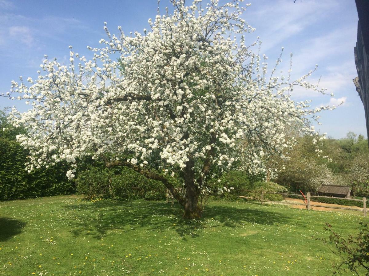 Le Jardin Des Sources Bed and Breakfast Terhulpen Buitenkant foto